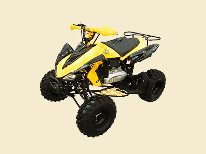 TAO TAO 110cc ATV Fully Automatic Four Wheelers