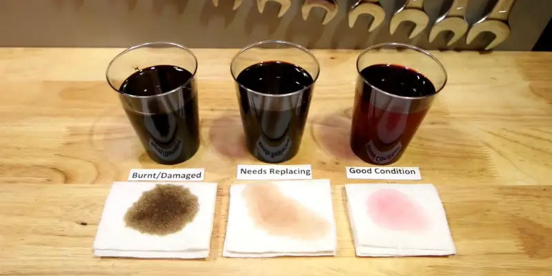 what color is manual transmission fluid