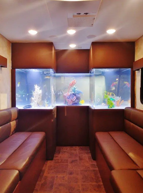 Rving With an Aquarium